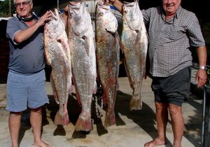 Andries se 28.8kg Kabeljou